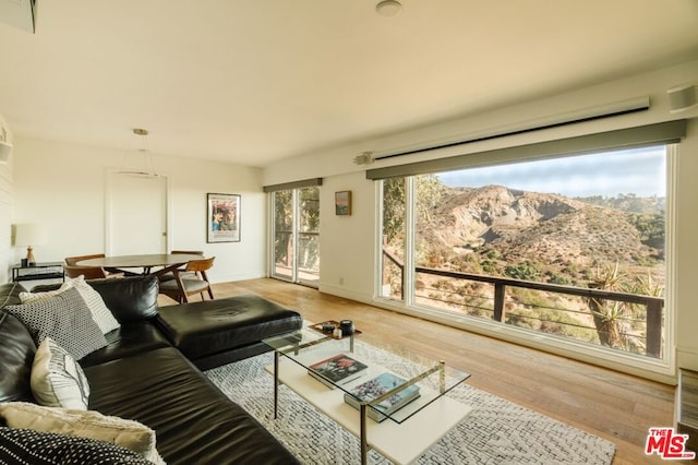 living room with a mountain view, hardwood / wood-style floors, and a healthy amount of sunlight