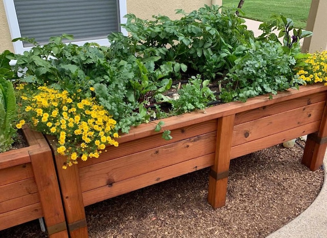 details with a vegetable garden