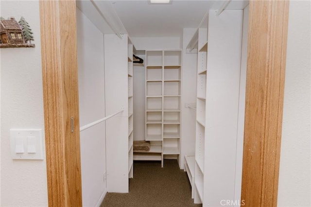 spacious closet with carpet floors