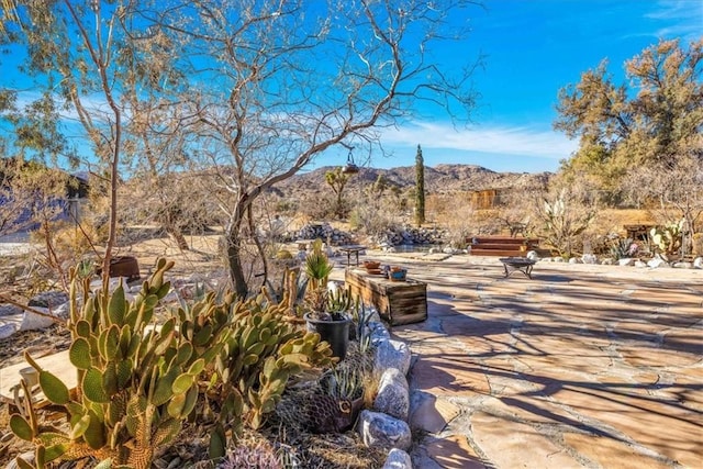 view of property's community featuring a mountain view