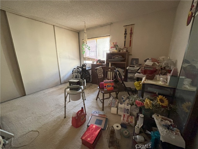 misc room with carpet floors and a textured ceiling