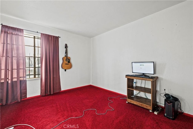 misc room featuring a wealth of natural light and carpet floors