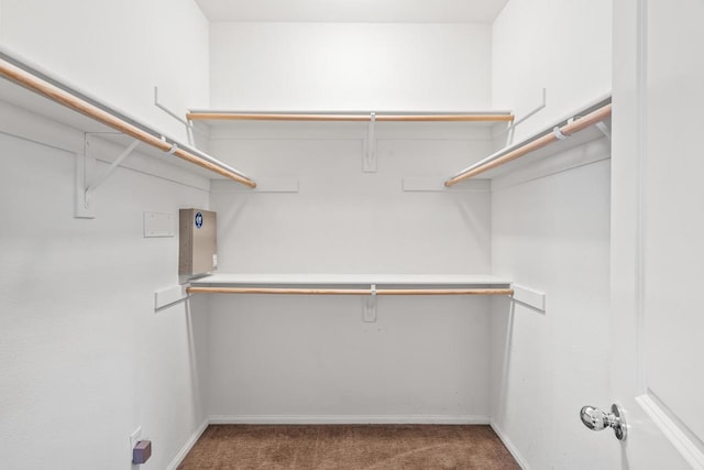 walk in closet with dark carpet