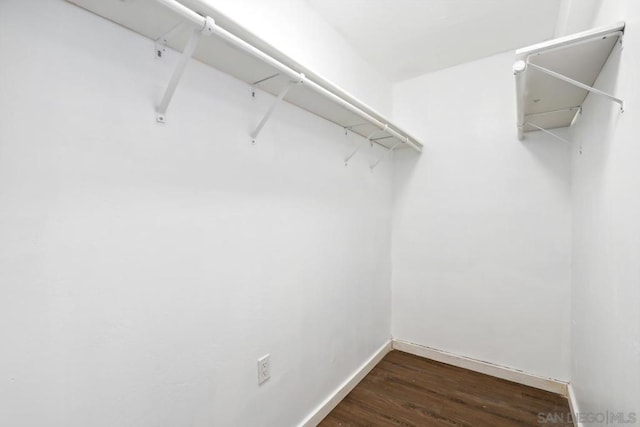 walk in closet featuring dark wood-type flooring