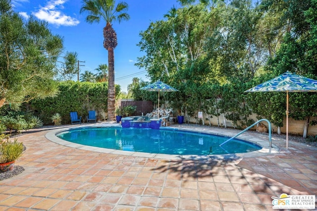 view of pool with a patio