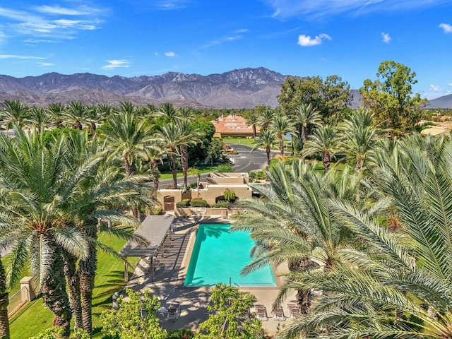 view of swimming pool featuring a mountain view and a patio