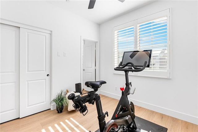 workout room featuring ceiling fan and wood-type flooring