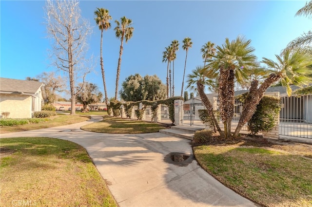 view of community featuring a yard