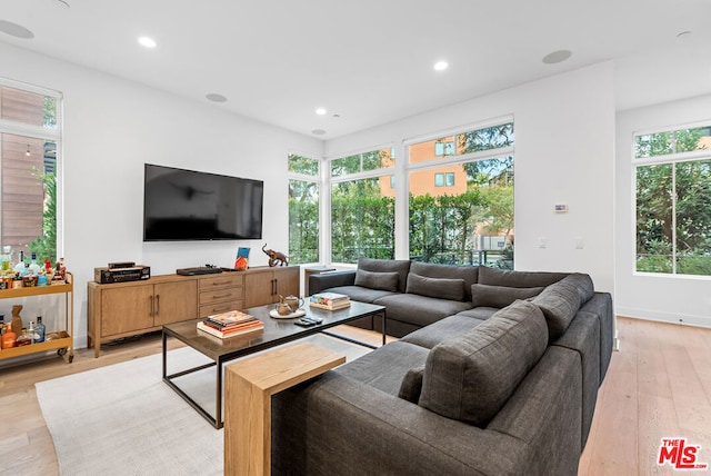 living room with light hardwood / wood-style flooring