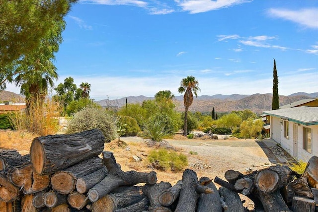 view of yard with a mountain view