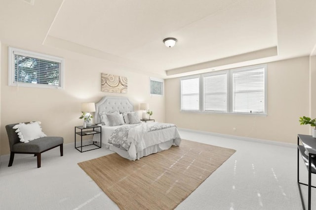 carpeted bedroom featuring a tray ceiling