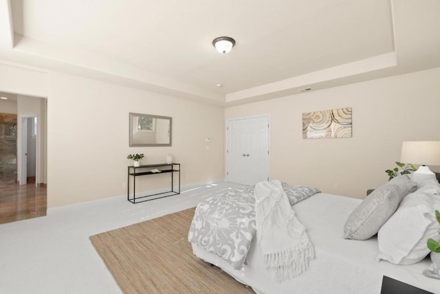 bedroom featuring a closet and a raised ceiling