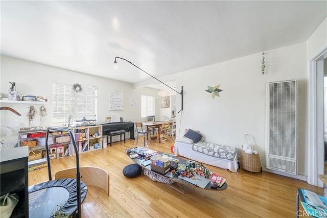 living room with wood-type flooring