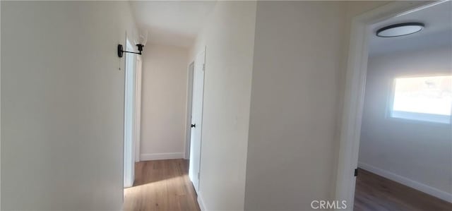 corridor featuring a barn door and hardwood / wood-style floors