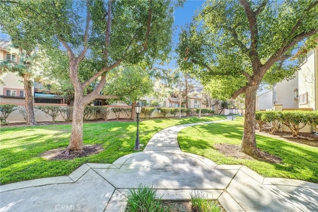 view of property's community featuring a yard