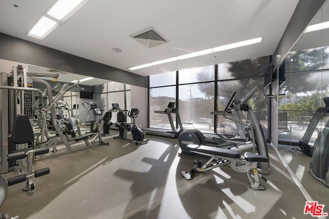 exercise room with expansive windows and a wealth of natural light