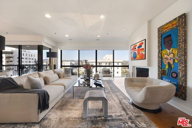 living room featuring wood-type flooring