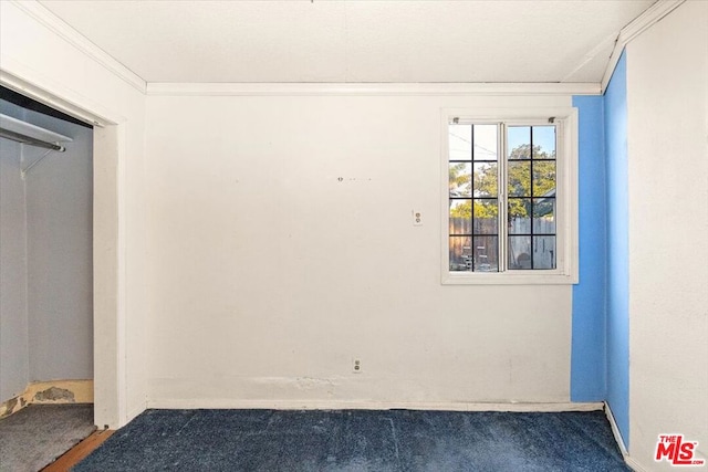 spare room with carpet flooring and crown molding