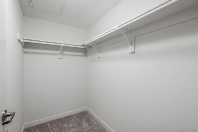 spacious closet featuring carpet flooring