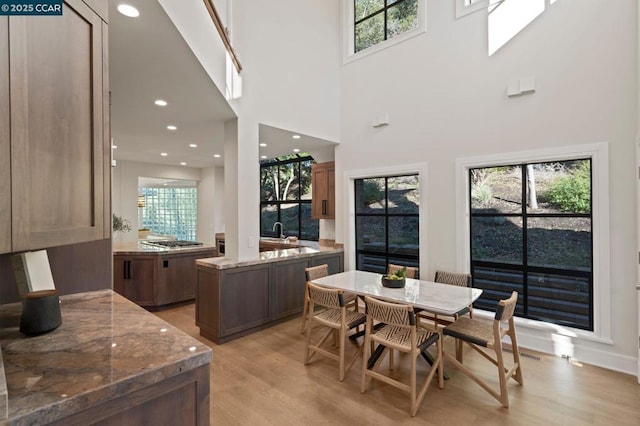 dining room with sink, a healthy amount of sunlight, a high ceiling, and light hardwood / wood-style floors