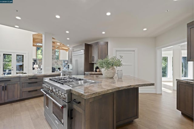 kitchen with light stone counters, light hardwood / wood-style flooring, plenty of natural light, and high quality appliances