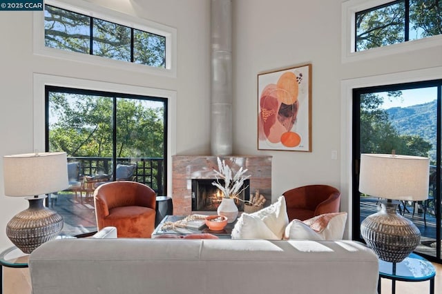 living room with a high ceiling and a fireplace