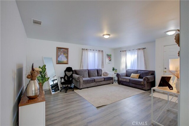 living room featuring wood-type flooring