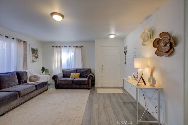 living room with hardwood / wood-style floors