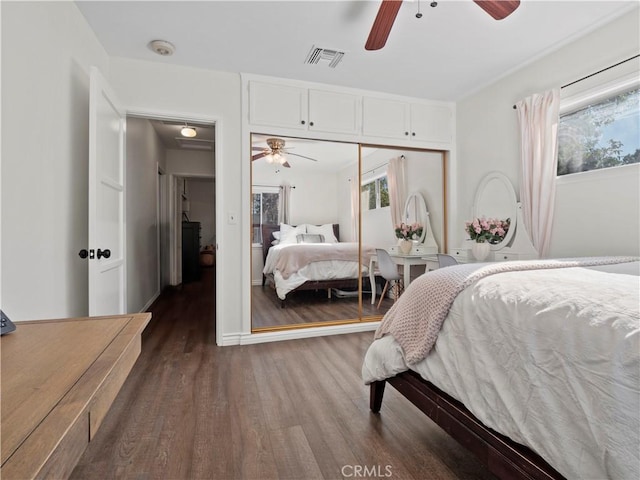 bedroom with ceiling fan, dark wood-type flooring, and a closet