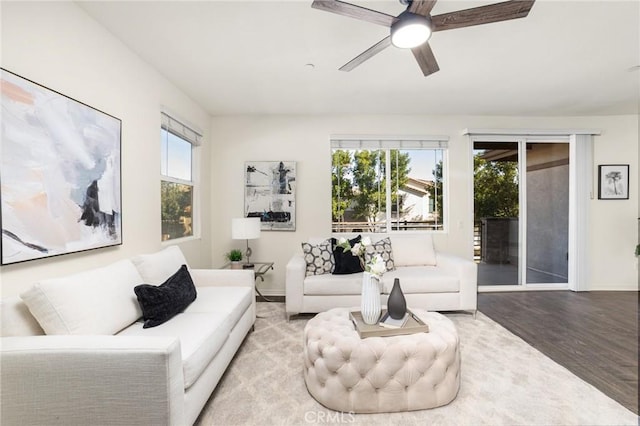 living room with plenty of natural light, light hardwood / wood-style floors, and ceiling fan