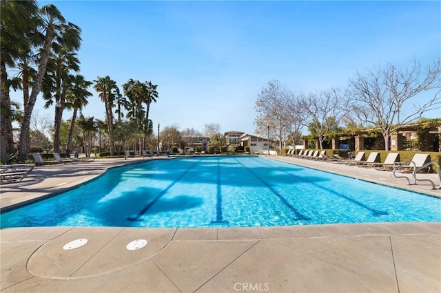 view of pool with a patio