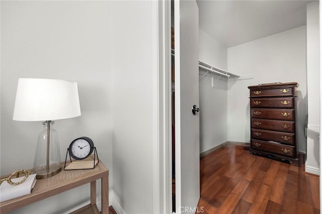 walk in closet featuring dark hardwood / wood-style flooring