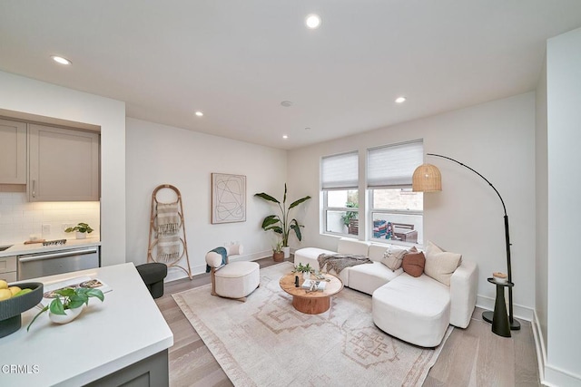 living room with light wood-type flooring