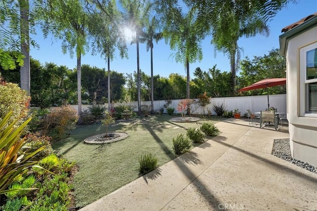 view of yard with a patio