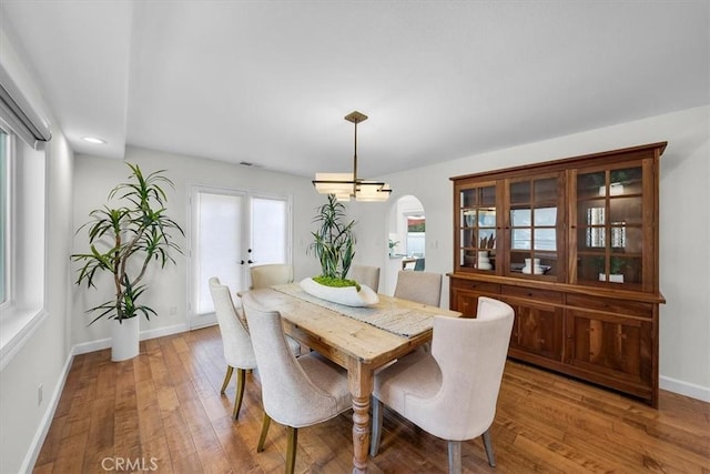 dining room featuring wood-type flooring