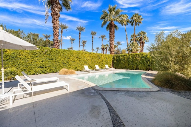 view of swimming pool featuring a patio area