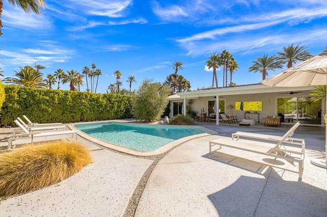 view of pool featuring a patio area and ceiling fan