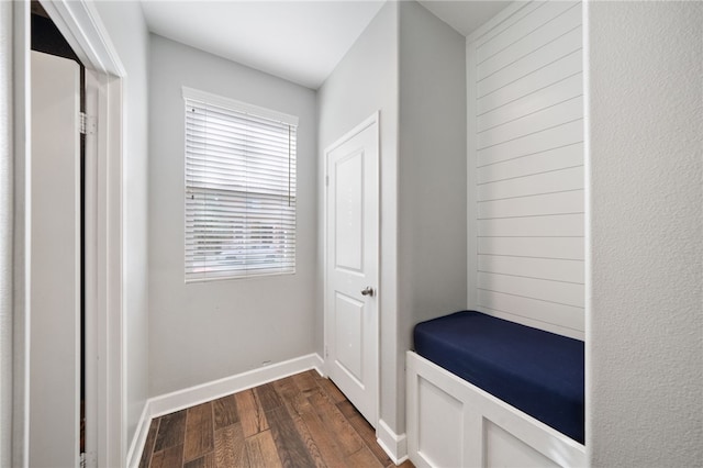 mudroom with dark hardwood / wood-style flooring