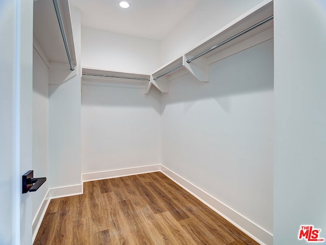 spacious closet with hardwood / wood-style floors