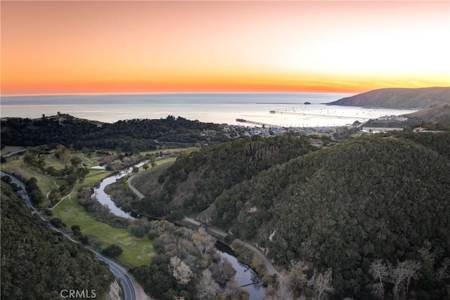 6279 Twinberry Cir Unit 7, Avila Beach, CA 93424 - aerial view of a large body of water