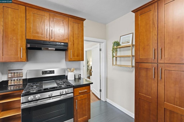 kitchen with stainless steel range with gas cooktop