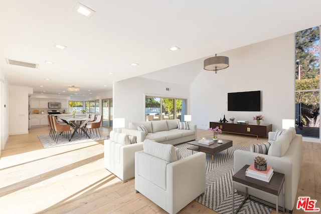 living room with light hardwood / wood-style floors