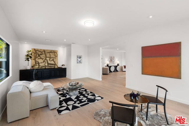 living room featuring light hardwood / wood-style flooring