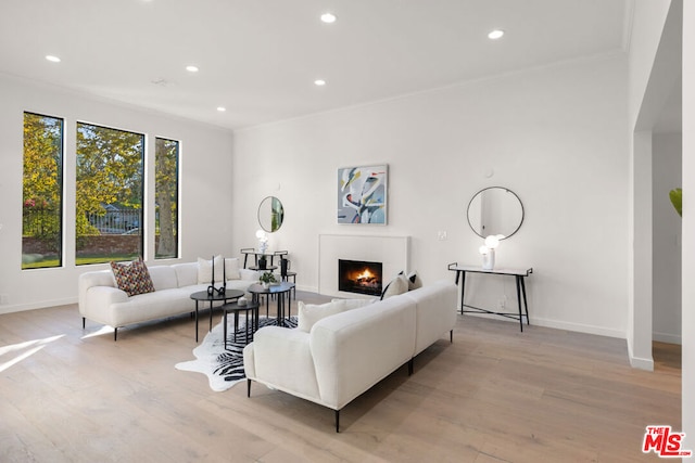 living room featuring crown molding and light hardwood / wood-style flooring