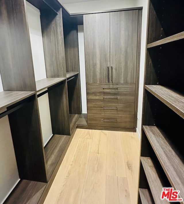 spacious closet featuring light hardwood / wood-style flooring