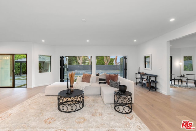 living room featuring light hardwood / wood-style flooring and a healthy amount of sunlight