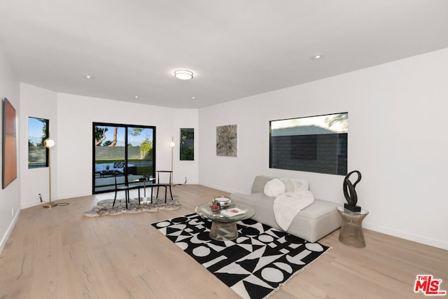 living room featuring light wood-type flooring