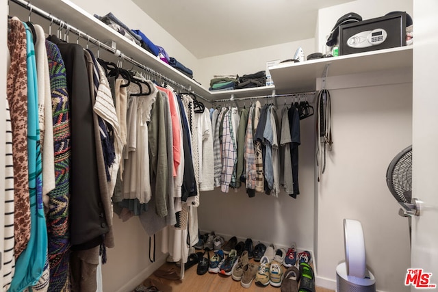 walk in closet featuring hardwood / wood-style flooring