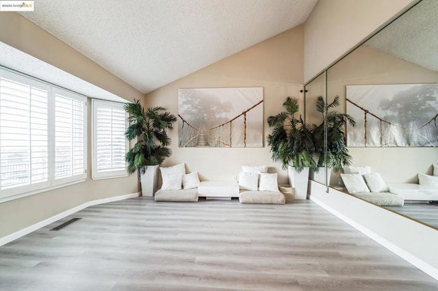 living area featuring lofted ceiling, wood-type flooring, and a textured ceiling