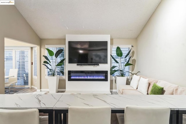 living room with lofted ceiling and a textured ceiling